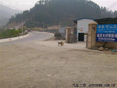 3p国产,多元文化交融的奇迹之地